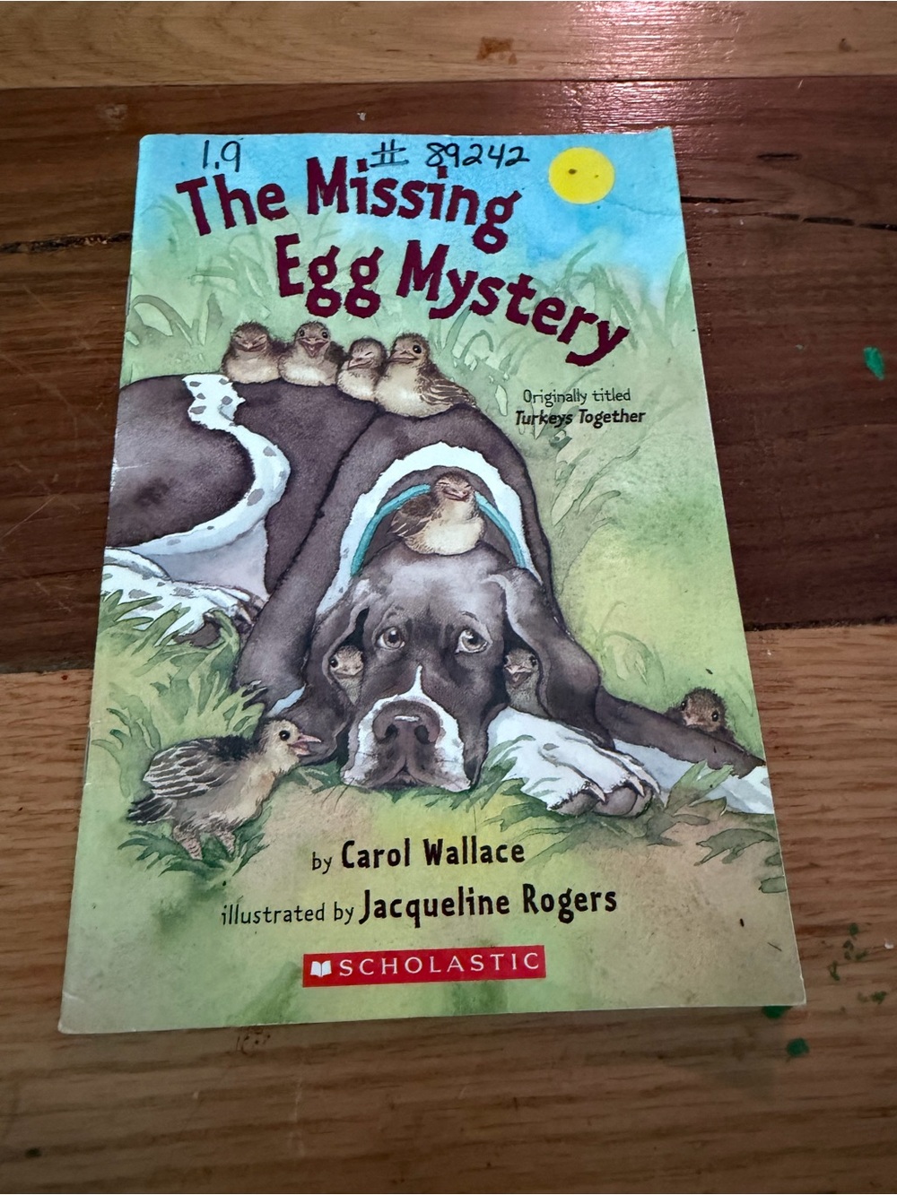Scholastic Illustrated Children's Book — Green and Blue Cover